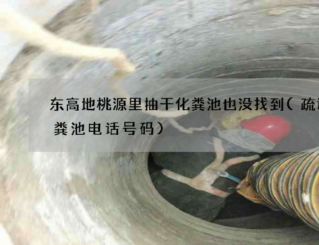 东高地桃源里抽干化粪池也没找到(疏通化粪池电话号码)