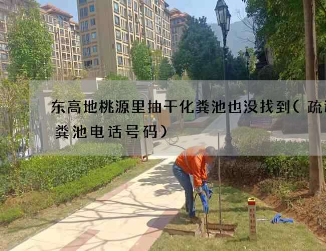 东高地桃源里抽干化粪池也没找到(疏通化粪池电话号码)