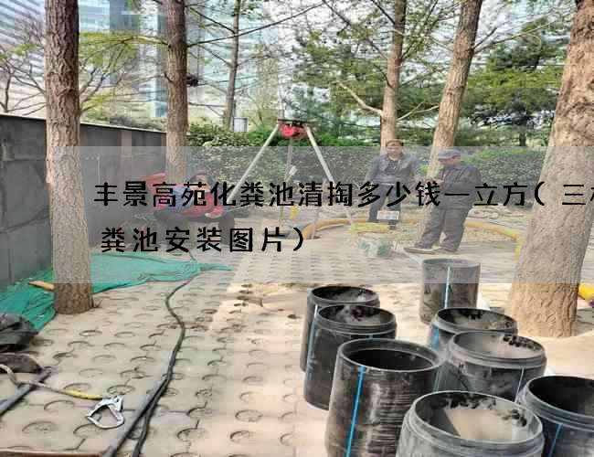 丰景高苑化粪池清掏多少钱一立方(三格化粪池安装图片)