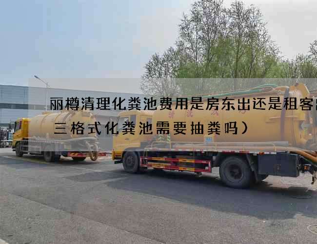 丽樽清理化粪池费用是房东出还是租客出(三格式化粪池需要抽粪吗)