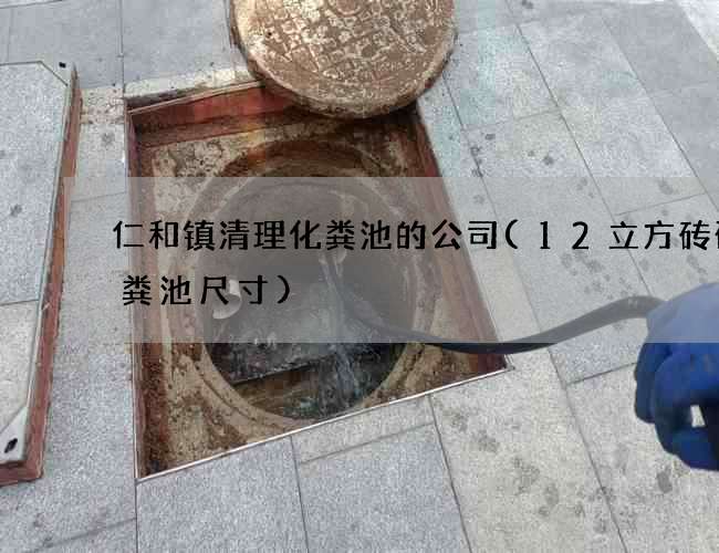 仁和镇清理化粪池的公司(12立方砖砌化粪池尺寸)