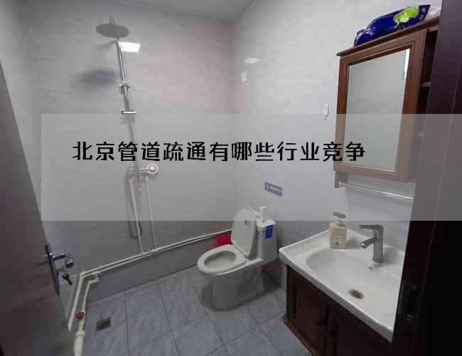 北京管道疏通有哪些行业竞争