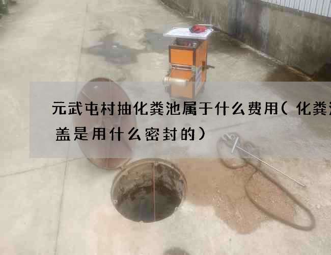 元武屯村抽化粪池属于什么费用(化粪池井盖是用什么密封的)
