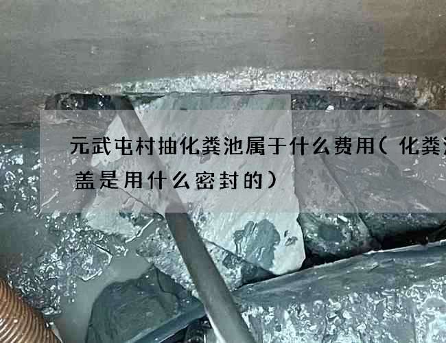 元武屯村抽化粪池属于什么费用(化粪池井盖是用什么密封的)