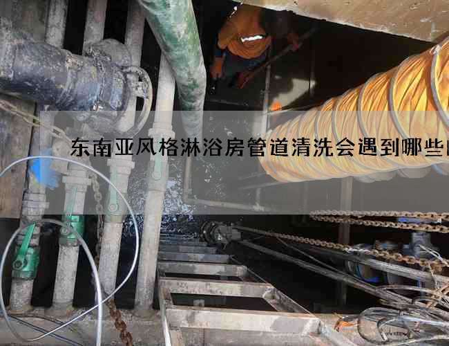 东南亚风格淋浴房管道清洗会遇到哪些问题 东南亚风格淋浴房管道清洗会遇到哪些问题