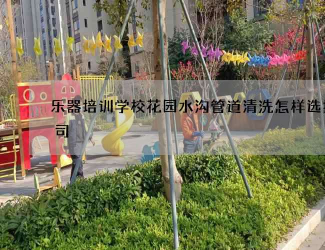 乐器培训学校花园水沟管道清洗怎样选择公司