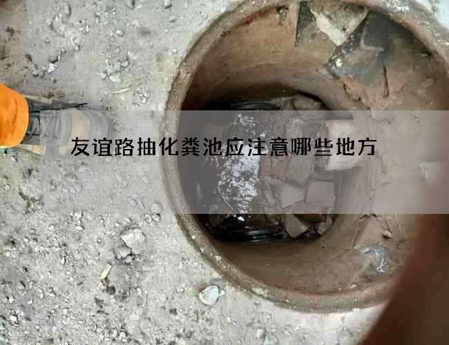 友谊路抽化粪池应注意哪些地方 友谊路抽化粪池应注意哪些地方