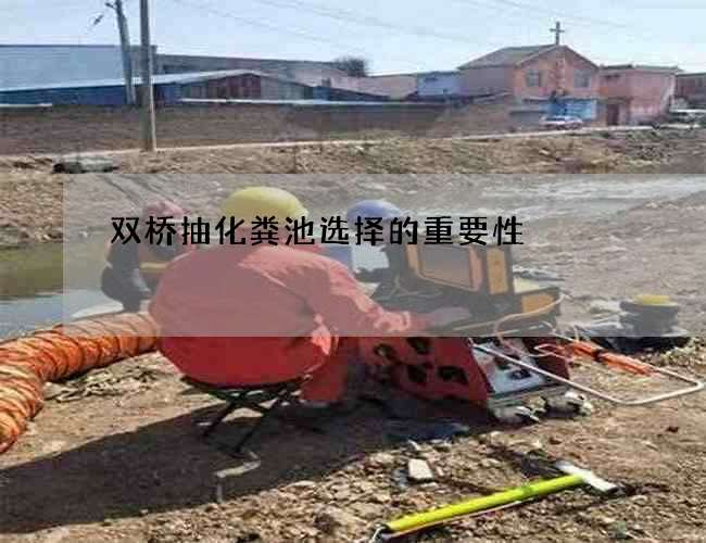 双桥抽化粪池选择的重要性