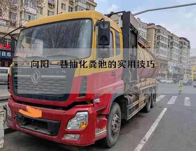 向阳一巷抽化粪池的实用技巧