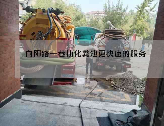 向阳路一巷抽化粪池更快速的服务