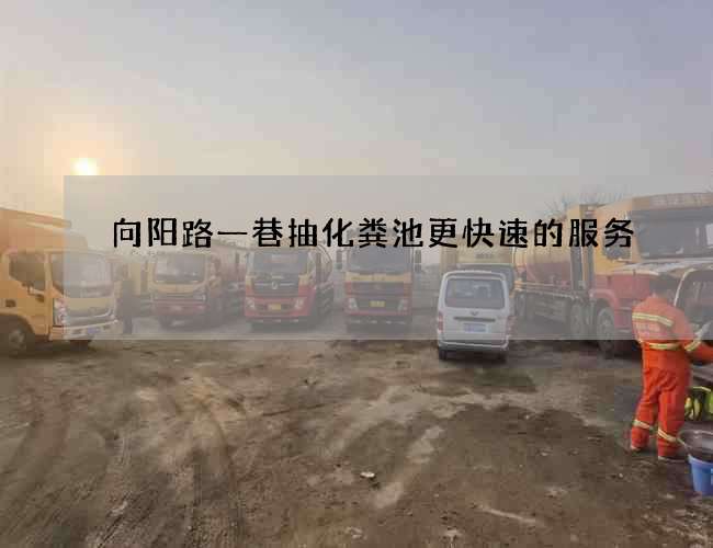 向阳路一巷抽化粪池更快速的服务