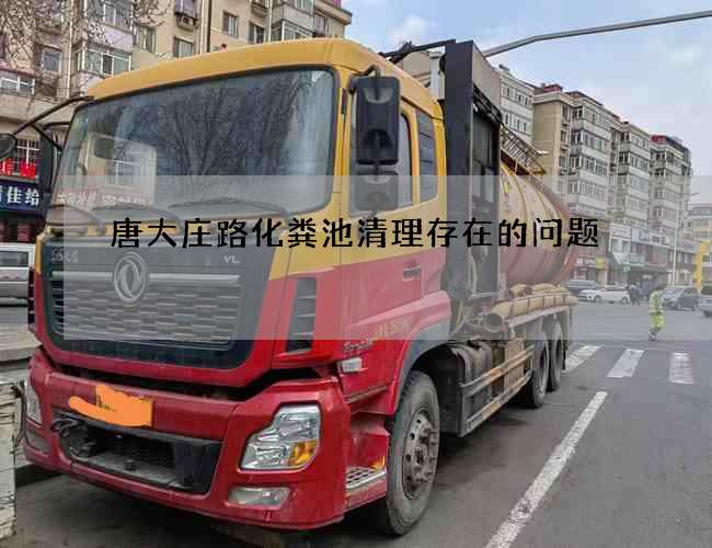 唐大庄路化粪池清理存在的问题