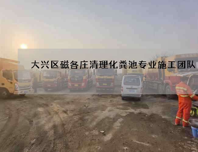 大兴区磁各庄清理化粪池专业施工团队