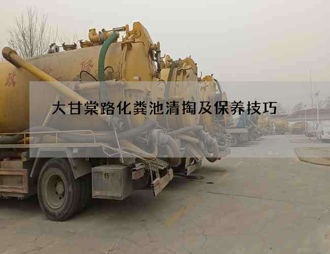 大甘棠路化粪池清掏及保养技巧 大甘棠路化粪池清掏及保养技巧