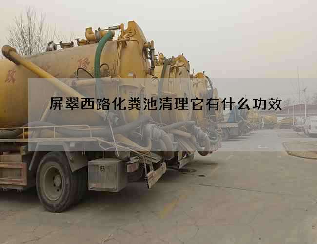 屏翠西路化粪池清理它有什么功效