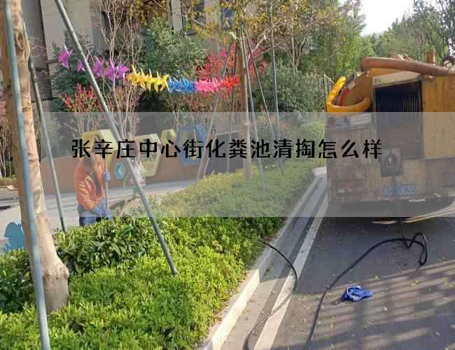 张辛庄中心街化粪池清掏怎么样