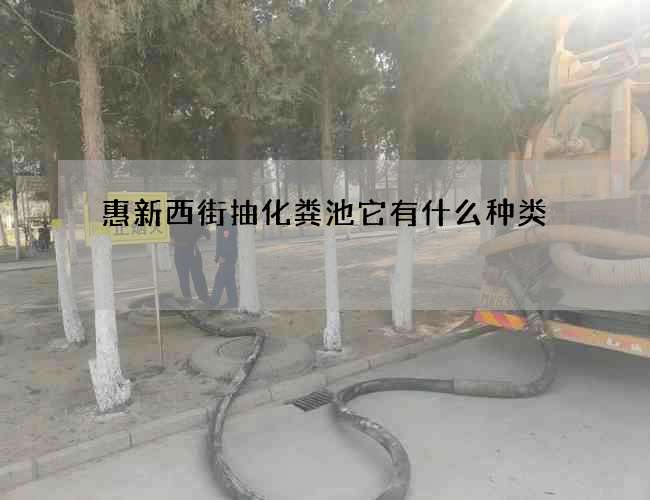 惠新西街抽化粪池它有什么种类? 惠新西街抽化粪池它有什么种类?