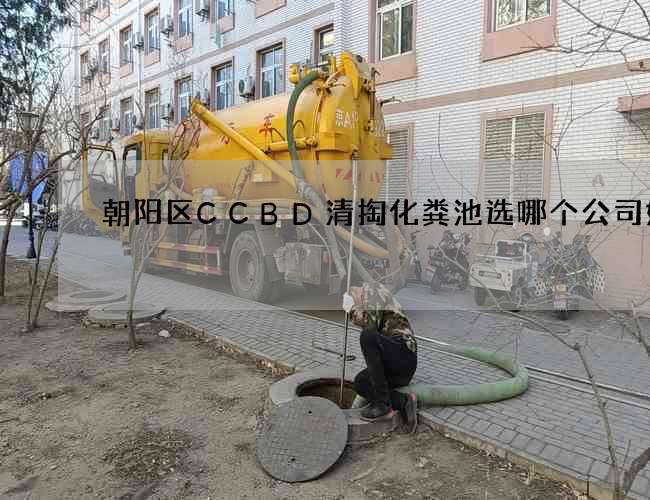 朝阳区CCBD清掏化粪池选哪个公司好呢 朝阳区CCBD清掏化粪池选哪个公司好呢