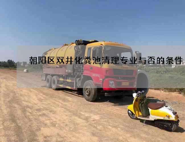朝阳区双井化粪池清理专业与否的条件
