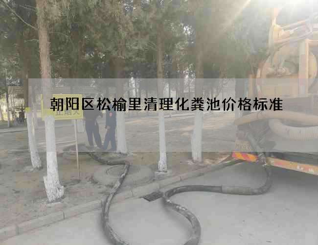 朝阳区松榆里清理化粪池价格标准