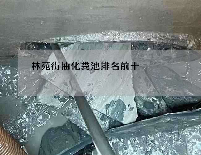 林苑街抽化粪池排名前十