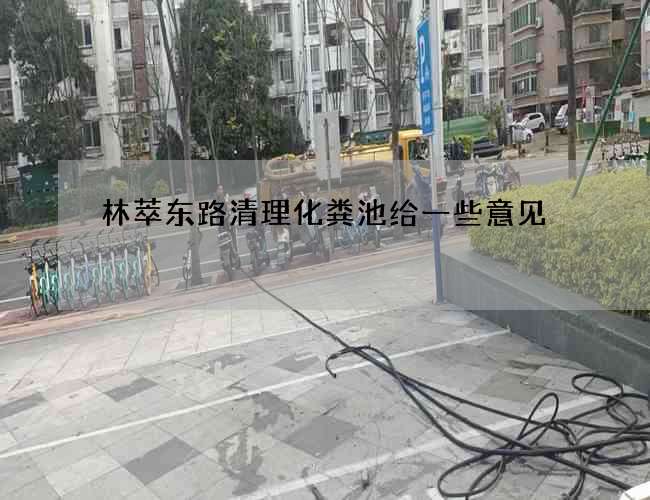 林萃东路清理化粪池给一些意见