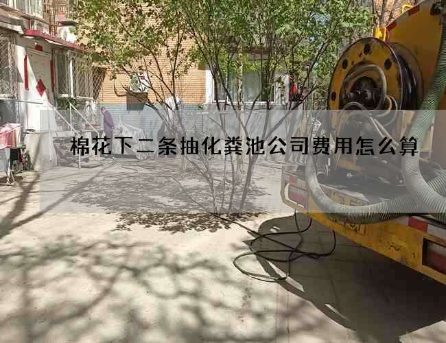 棉花下二条抽化粪池公司费用怎么算