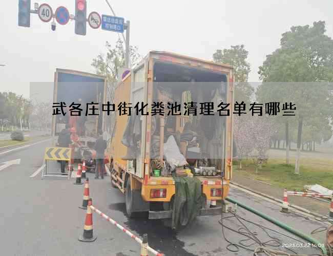 武各庄中街化粪池清理名单有哪些