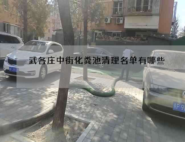 武各庄中街化粪池清理名单有哪些