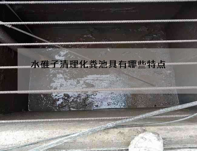 水碓子清理化粪池具有哪些特点
