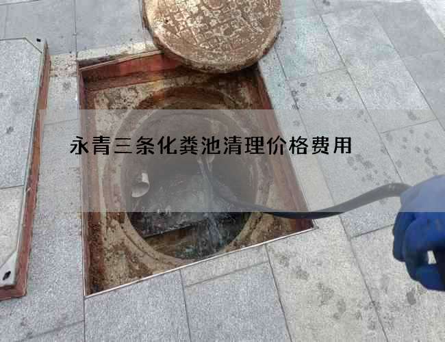 永青三条化粪池清理价格费用