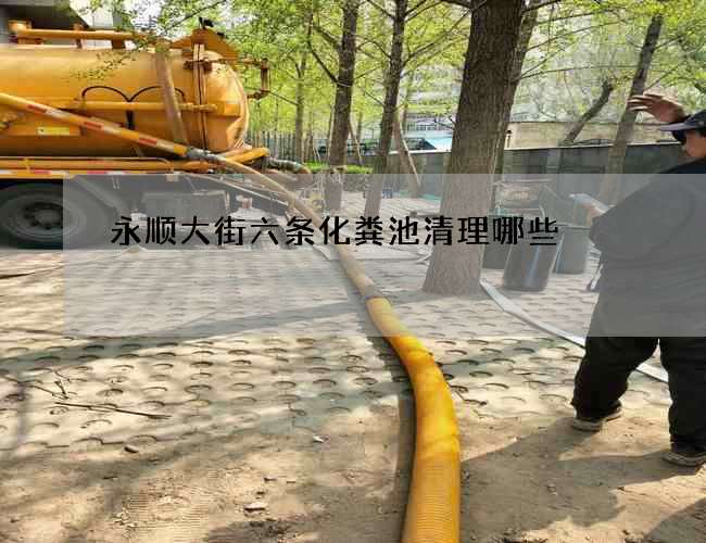 永顺大街六条化粪池清理哪些