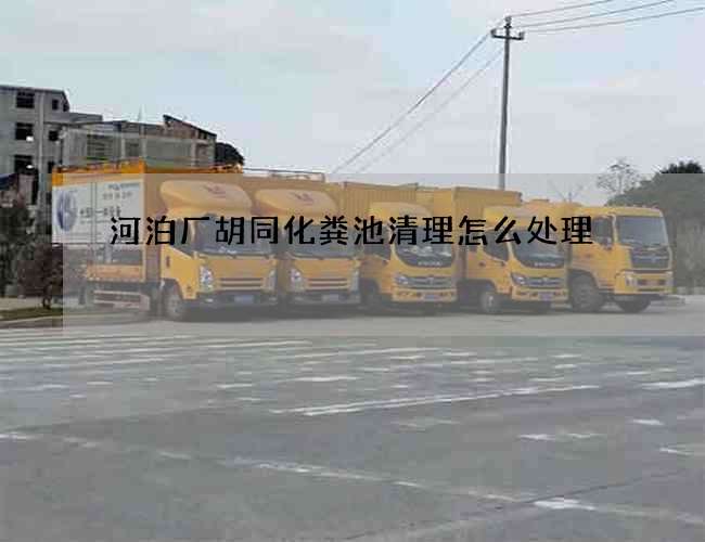 河泊厂胡同化粪池清理怎么处理 河泊厂胡同化粪池清理怎么处理