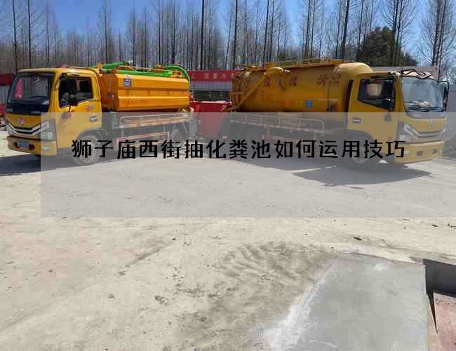 狮子庙西街抽化粪池如何运用技巧