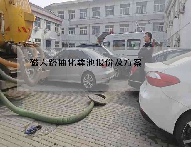 磁大路抽化粪池报价及方案