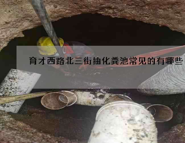 育才西路北三街抽化粪池常见的有哪些