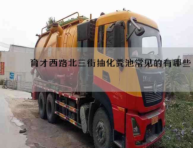 育才西路北三街抽化粪池常见的有哪些