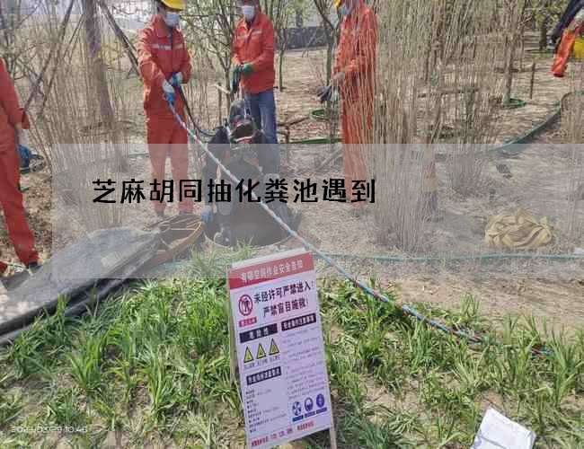 芝麻胡同抽化粪池遇到